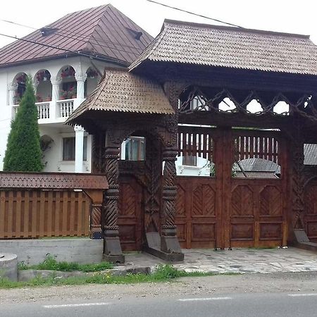 Pensiunea Denisa Hotel Bîrsana Buitenkant foto