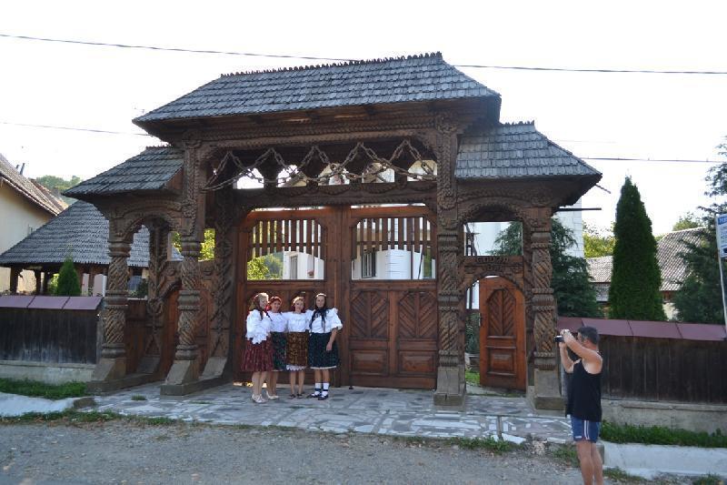 Pensiunea Denisa Hotel Bîrsana Buitenkant foto