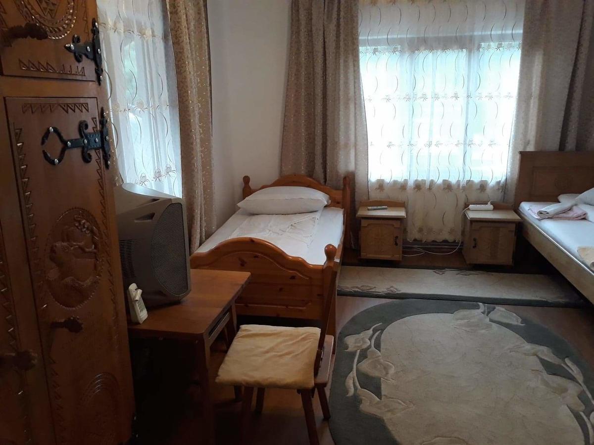 Pensiunea Denisa Hotel Bîrsana Buitenkant foto